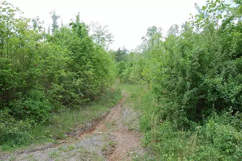 7005 Sr 8, Dunlap, TN 37327 photo 14