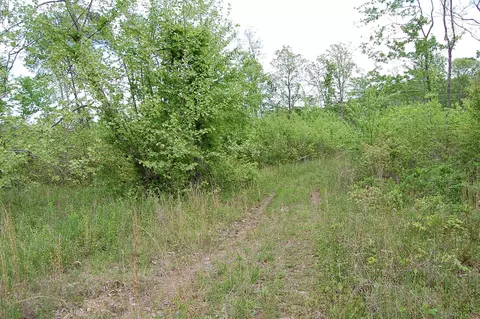 7005 Sr 8, Dunlap, TN 37327 photo 16
