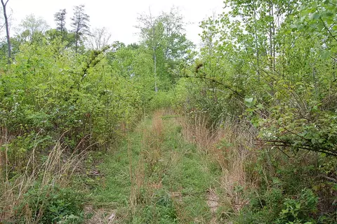 7005 Sr 8, Dunlap, TN 37327 photo 17