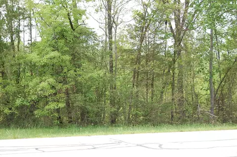 7005 Sr 8, Dunlap, TN 37327 photo 5