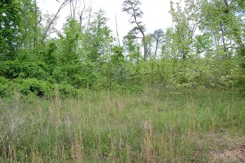 7005 Sr 8, Dunlap, TN 37327 photo 15