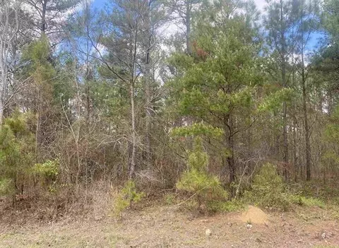 3 96 Acres County Road 739, Henagar, AL 35978