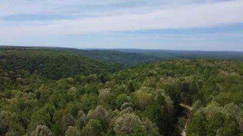 0 Palmer Fire Tower Rd, Tracy City, TN 37387