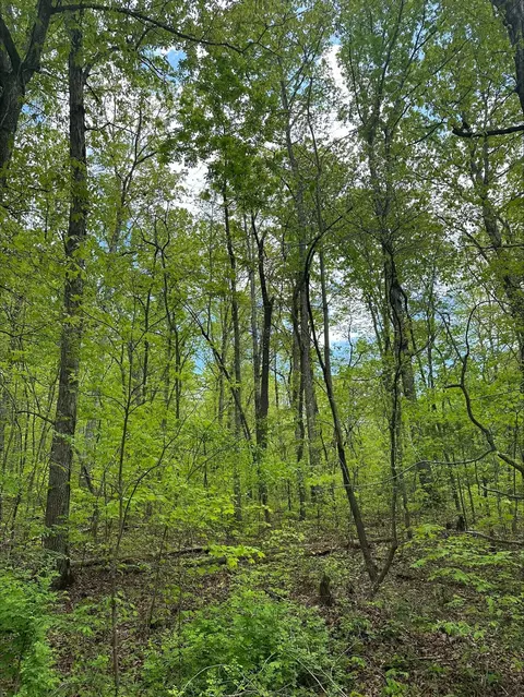 Tract 1b River Road #TRACT 1B, Decatur, TN 37322