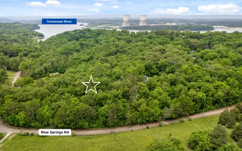 9783 Blue Springs Rd, Harrison, TN 37341