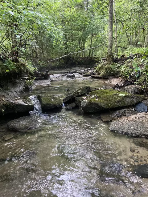 0 Henson Gap Rd, Soddy Daisy, TN 37379