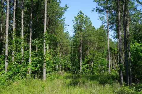 0 Brayton Rd #10, Graysville, TN 37338