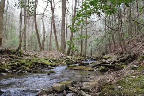 412 Tall Tree Trl, Dunlap, TN 37327