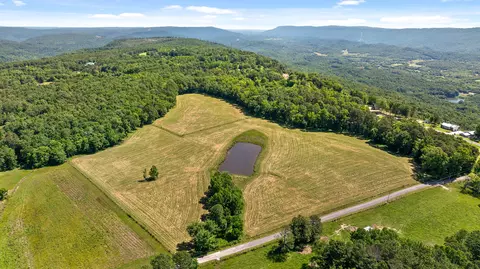 31 78 Ac Cagle Rd, Trenton, GA 30752