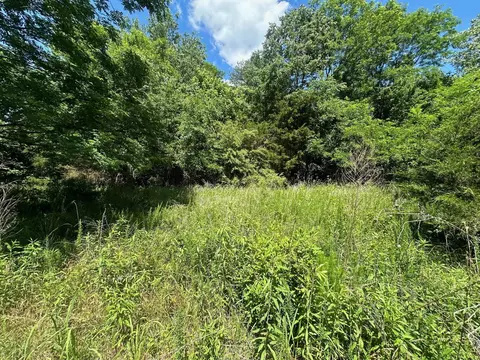 lot174 Teludachee Trl #174, South Pittsburg, TN 37380