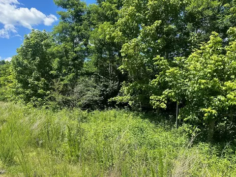 lot172 Sulee Cir #172, South Pittsburg, TN 37380