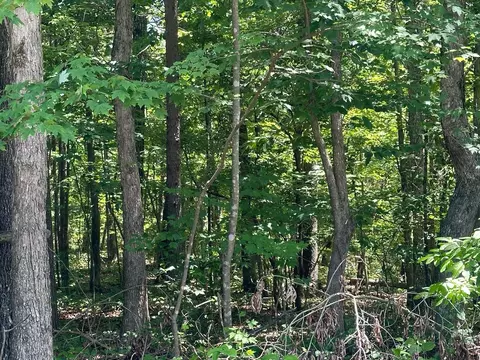 lot189 Kyuga Dr #189, South Pittsburg, TN 37380