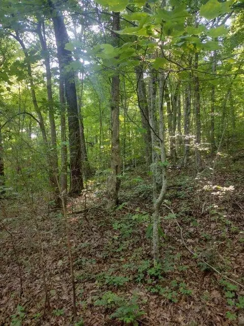 2 Boulder Dr, Dunlap, TN 37327 photo 6