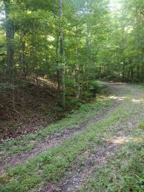 2 Boulder Dr, Dunlap, TN 37327 photo 4