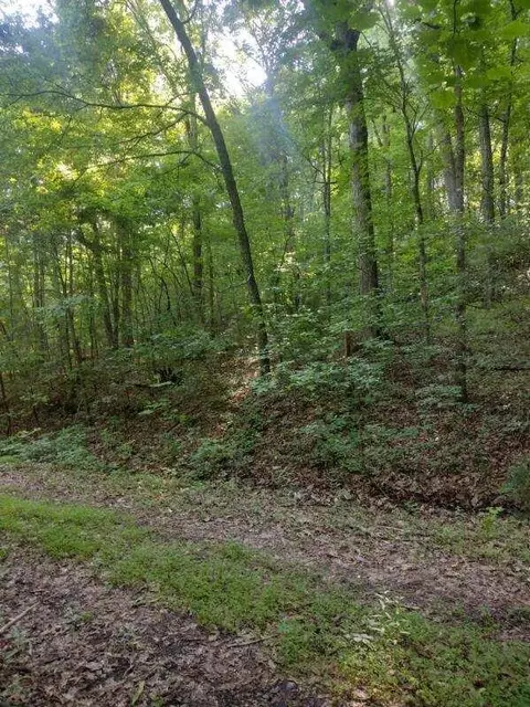 2 Boulder Dr, Dunlap, TN 37327 photo 2