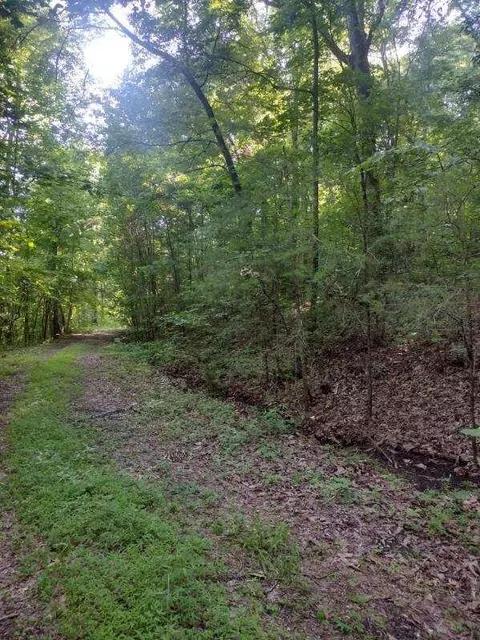2 Boulder Dr, Dunlap, TN 37327 photo 5