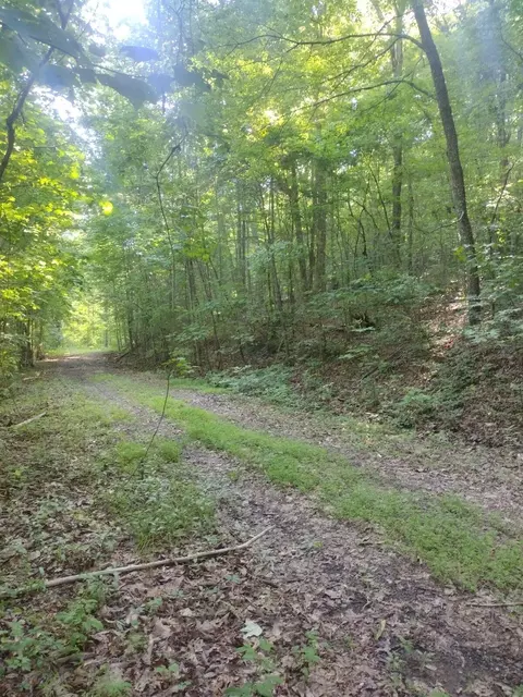 2 Boulder Dr, Dunlap, TN 37327 photo 7