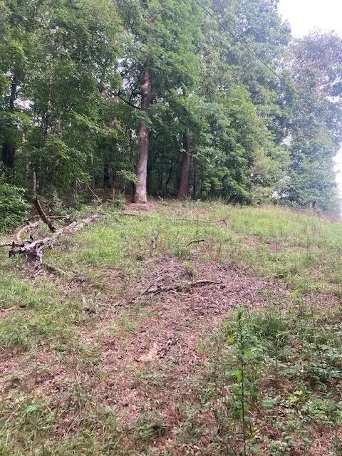 0 Old Highway 411, Chatsworth, GA 30705