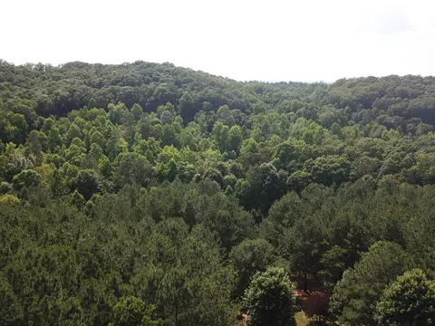 1415 Sloan Gap Rd #1, Ocoee, TN 37361 photo 3