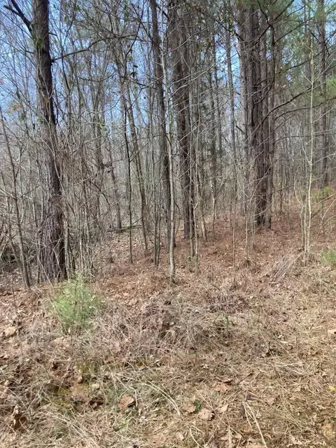 1415 Sloan Gap Rd #1, Ocoee, TN 37361 photo 4