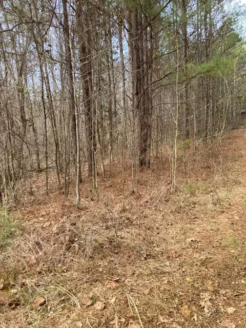 1415 Sloan Gap Rd #1, Ocoee, TN 37361 photo 5
