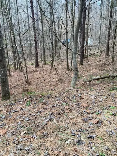 1415 Sloan Gap Rd #1, Ocoee, TN 37361 photo 8