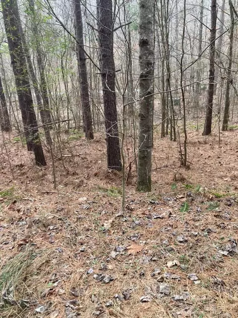 1415 Sloan Gap Rd #1, Ocoee, TN 37361 photo 6