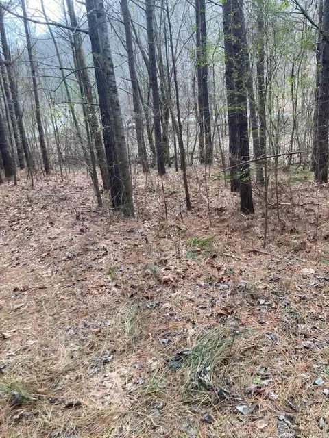1415 Sloan Gap Rd #1, Ocoee, TN 37361 photo 9