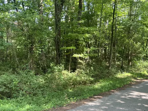 247 Brown Rd, Jasper, TN 37347 photo 17
