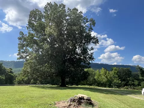 247 Brown Rd, Jasper, TN 37347 photo 11