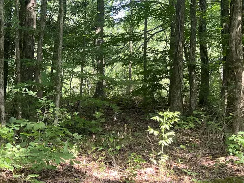 247 Brown Rd, Jasper, TN 37347 photo 19