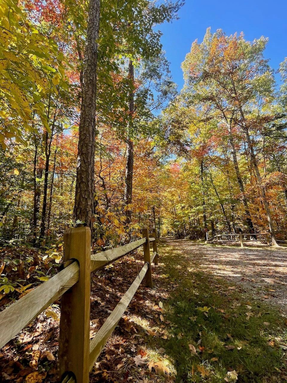 9 Savage Highland Dr Unit SW1M  