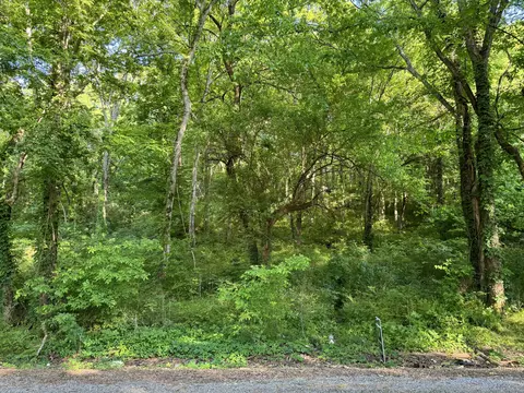 13 34 Acre County Road 491, Flat Rock, AL 35966