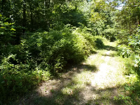 0 Vista Tr #156, Crossville, TN 38572