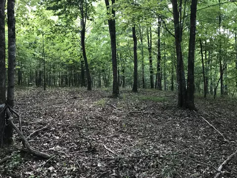 0 Bluffview Dr #342, Dunlap, TN 37327