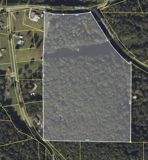 0 Slygo Rd, Trenton, GA 30752