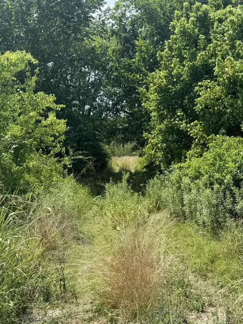 00 Fitch Rd, Ten Mile, TN 37880