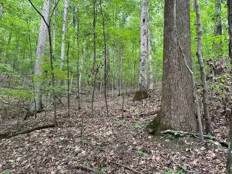 Lot 1 Hwy 156 #1, South Pittsburg, TN 37380