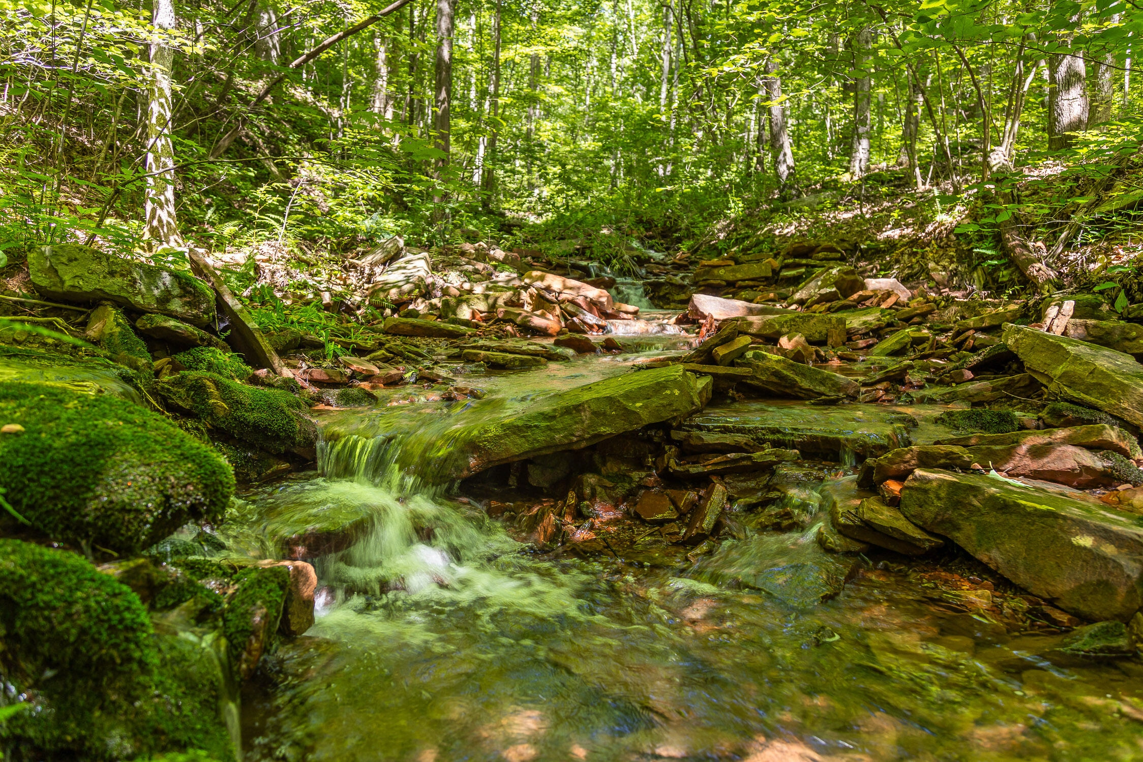 0 Brayton Rd Unit 15  