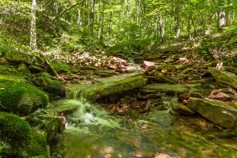 0 Brayton Rd #15, Graysville, TN 37338