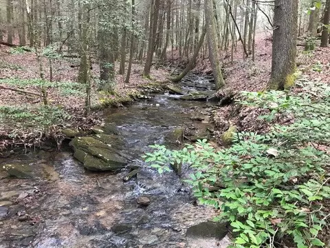 0 Deep Woods Dr #214-A, Dunlap, TN 37327