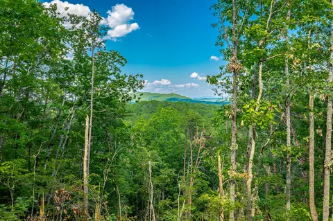 0 Clearview Dr #LOT 1, Ringgold, GA 30736
