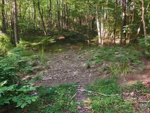 0 Walden Farms Rd #1, Signal Mountain, TN 37377