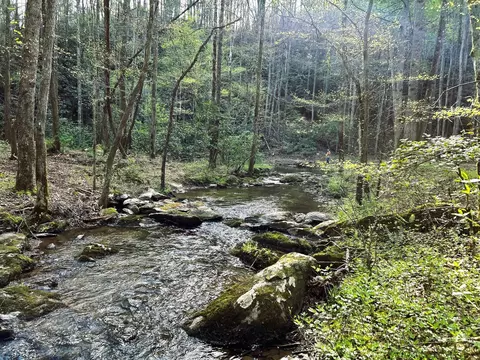 40 Acres Ivy Trl, Tellico Plains, TN 37385