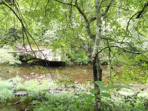 05 Hemlock Bluff Way Rd, Deer Lodge, TN 37726