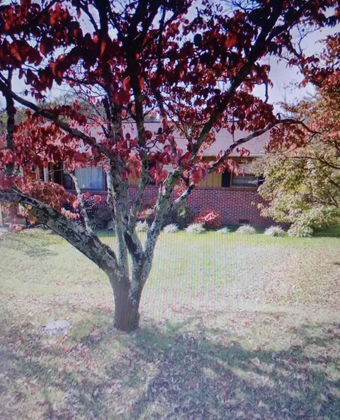 216 Ruby St, Bridgeport, AL 35740