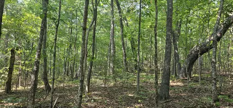 266 Cove Hill Rd, Pikeville, TN 37367