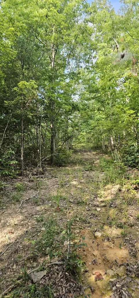 000 Cove Hill Rd, Pikeville, TN 37367