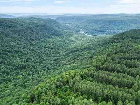 0 Split Rail Way #1368, Guild, TN 37340