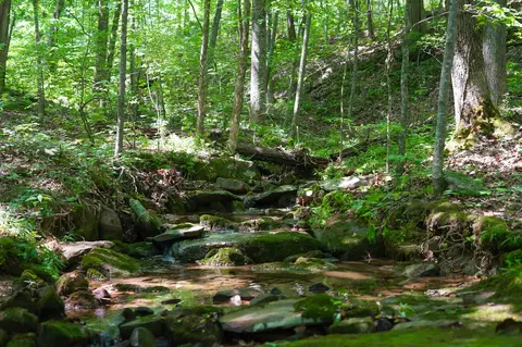 0 Brayton Rd #17, Graysville, TN 37338